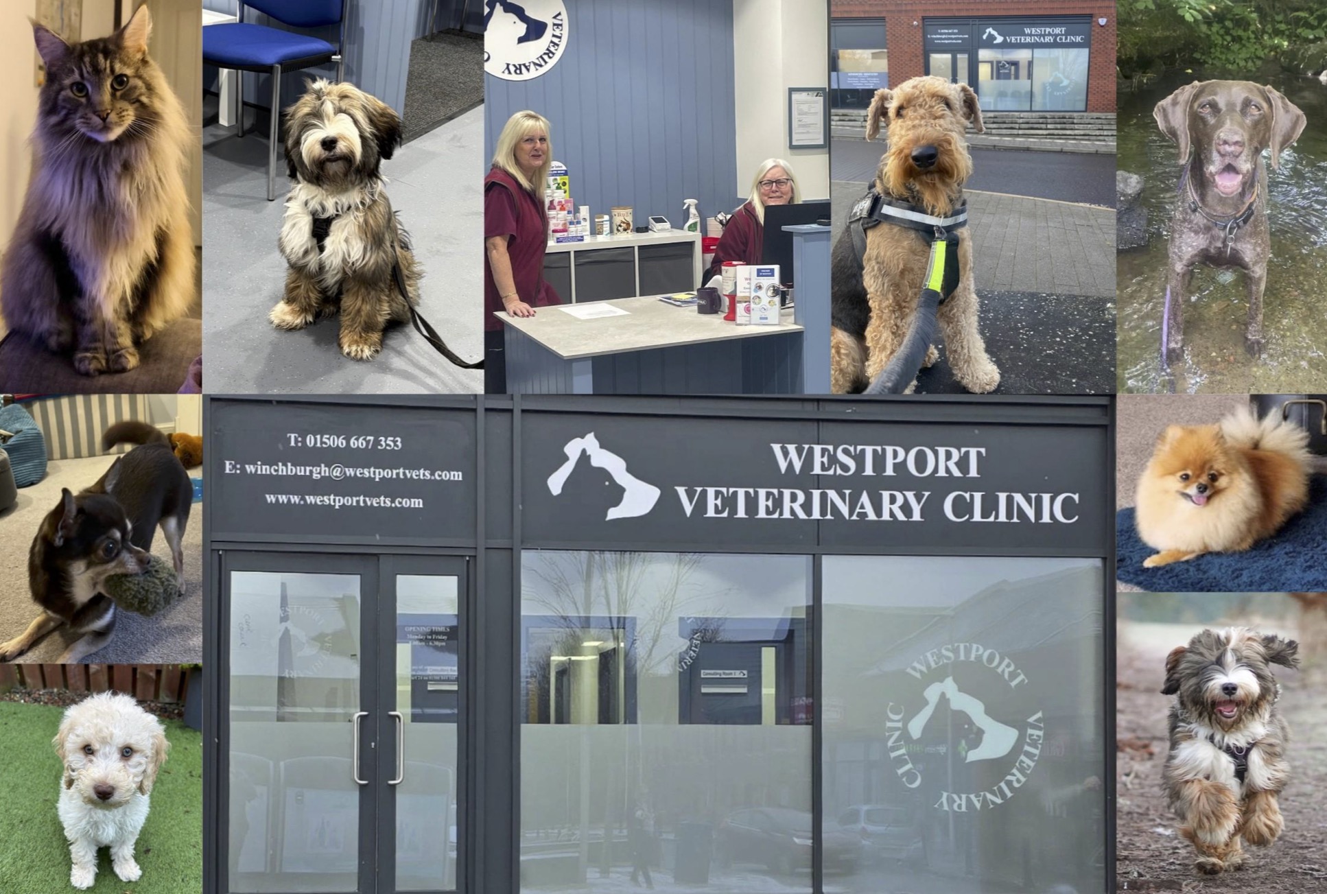 Happy Pets as Westport Vets opens new Winchburgh branch (1)
